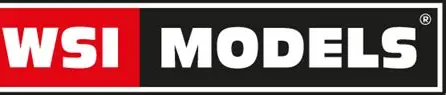 WSI MODEL
